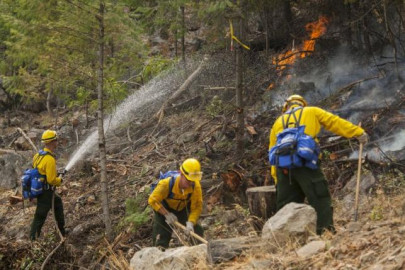 three fire fighters killed battling washington state wildfire