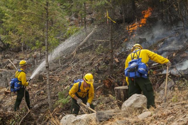 firefighters from the washington national guard battle the first creek fire in chelan washington august 18 2015 photo reuters