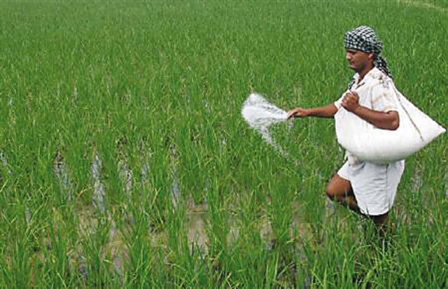 the government was insisting to print the price of urea on the bag but it was not accepted by the manufacturers photo afp the government was insisting to print the price of urea on the bag but it was not accepted by the manufacturers photo afp