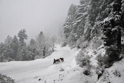 uproar in india s valley of gods over green ruling