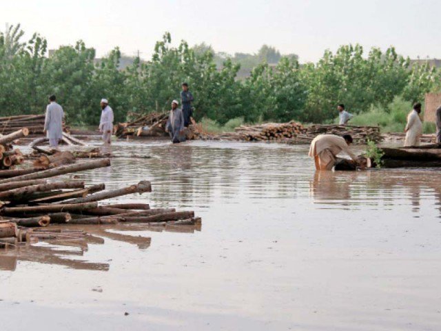 residents of charsadda road gather wood that fell down during heavy rain and strong winds photos muhammad iqbal express