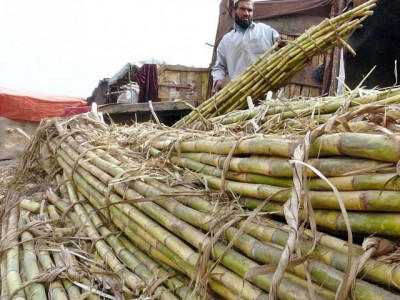 overdue sugar mills owe rs1 bn to farmers overdue sugar mills owe rs1 bn to farmers