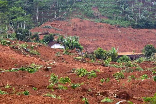 a rescue team searches for survivors and remove bodies after a landslide at jemblung village in banjarnegara central java province on december 13 2014 photo afp a rescue team searches for survivors and remove bodies after a landslide at jemblung village in banjarnegara central java province on december 13 2014 photo afp