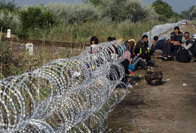 a migrant family rests beside the border fence near the village of asotthalom at the hungarian serbian border photo afp