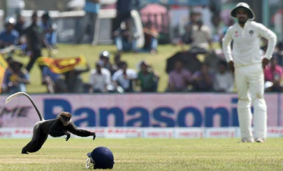 new look pitch leaves india sri lanka guessing