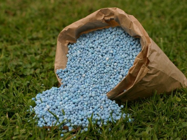 fatima fertilizer s earnings double to rs6 8 billion
