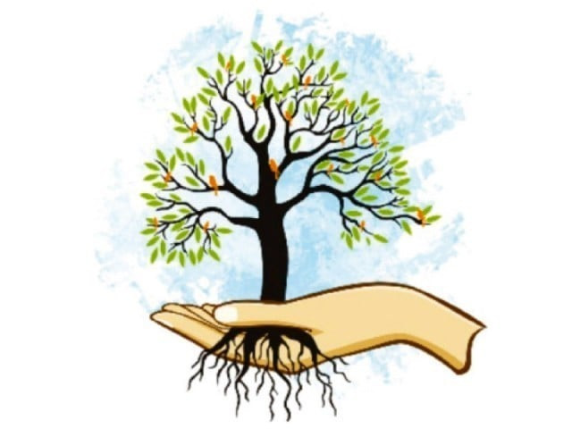 as many as 900 000 trees and plants will be planted in bahawalpur division as part of the campaign stock image as many as 900 000 trees and plants will be planted in bahawalpur division as part of the campaign stock image
