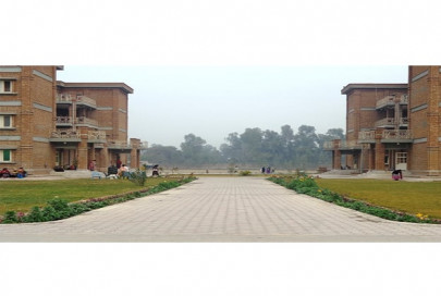 challenging authority pharmacy students urge k p govt to address registration issue