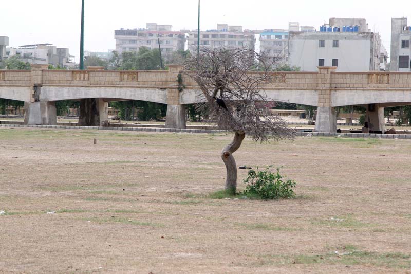 bagh ibne qasim once abundant with flora and fauna is now home to drug addicts and rubbish photos aysha saleem express