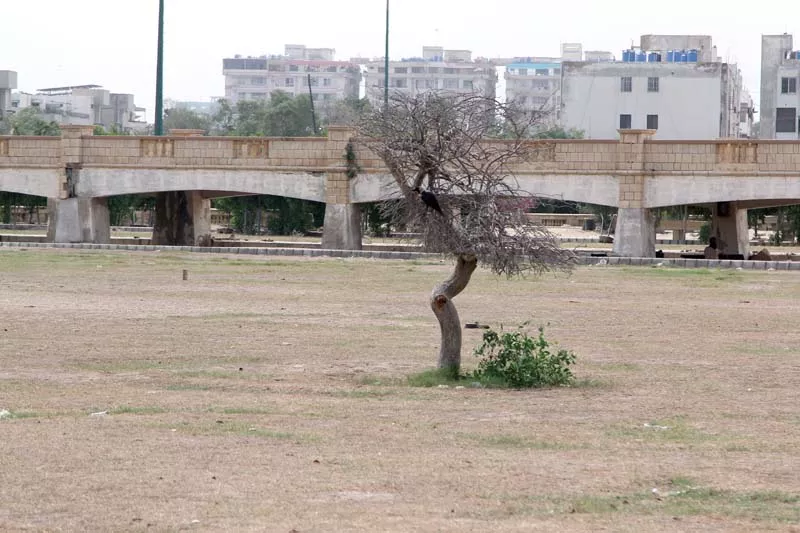 bagh ibne qasim once abundant with flora and fauna is now home to drug addicts and rubbish photos aysha saleem express bagh ibne qasim once abundant with flora and fauna is now home to drug addicts and rubbish photos aysha saleem express