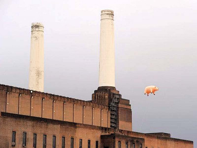pink floyd s algie flies back home pink floyd s algie flies back home