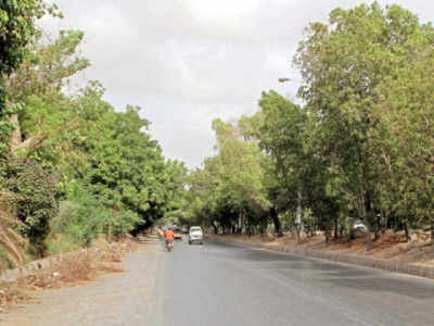 urban forestry diversified species should be planted in karachi