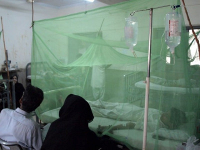 1 340 test positive for dengue across sindh