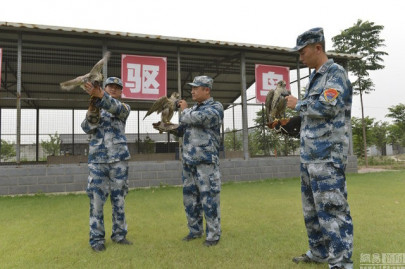 beijing deploys monkeys and falcons for war parade report