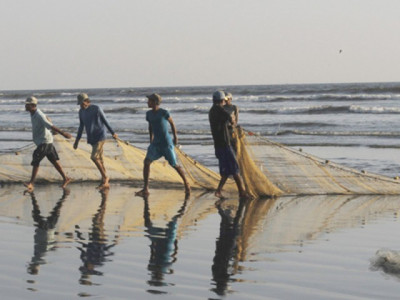 committee pushes for fishing regulations committee pushes for fishing regulations