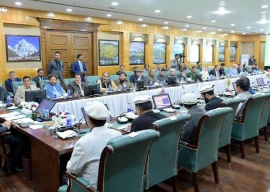 pm shehbaz announces supply of 100mw electricity to g b