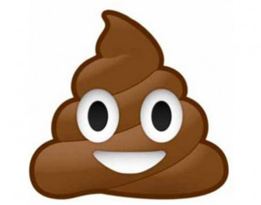 don t ignore your poop advise doctors don t ignore your poop advise doctors