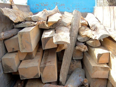 wood smuggling campaign against unlawful actions wood smuggling campaign against unlawful actions