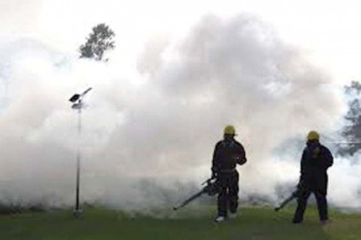 university town fumigation drive kicks off university town fumigation drive kicks off