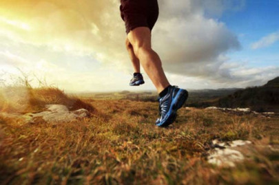 fat hormone pushes you to run that extra mile fat hormone pushes you to run that extra mile