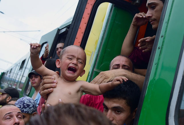 a migrant holds a crying boy out of a local train coming from budapest and heading to the austrian border that has been stopped in bicske west of the hungarian capital on september 3 2015 photo afp