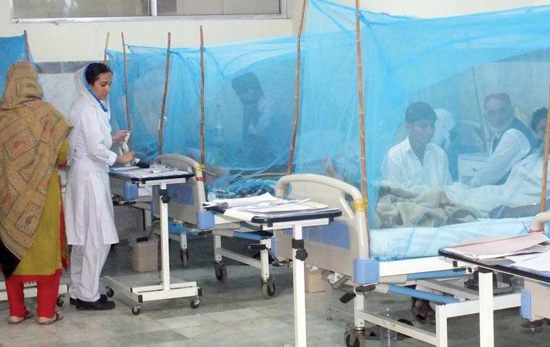 a nurse attends patients in the dengue ward of holy family hospital in rawalpindi photo agha mehroz express