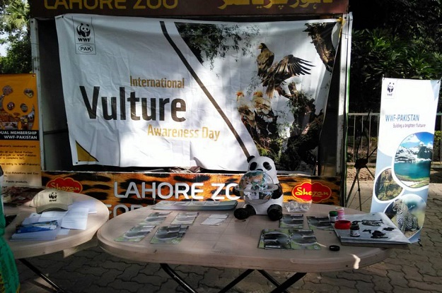 documentary on missing vultures screened at lahore zoo photo fb com lahorezoo