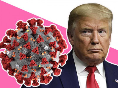 america is fighting the covid 19 battle without a general