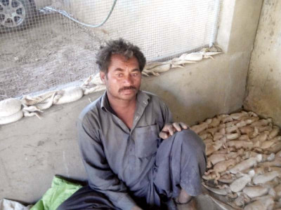 wildlife officials seize 150 desert lizards wildlife officials seize 150 desert lizards