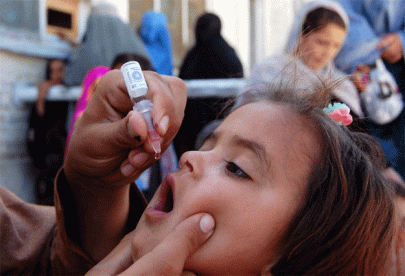polio drive in dg khan from september 14