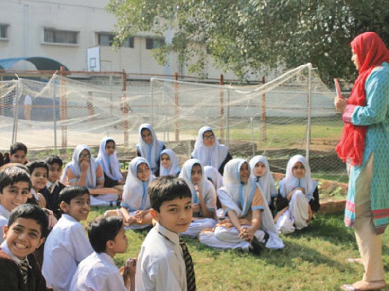 artist and environmentalist yasir hussain and sustainability educator zahra ali have started the organic city pakistan initiative which aims to educate schoolchildren about the importance of greenery and nature photos courtesy zahra ali and yasir hussain