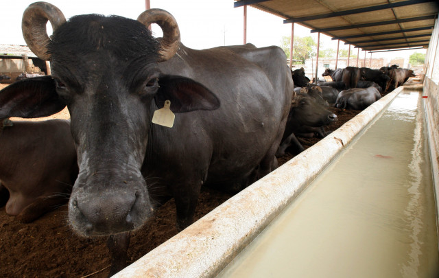 according to sources the decision to raise the price was taken during a meeting of dairy farmers on sunday photo athar khan express tribune according to sources the decision to raise the price was taken during a meeting of dairy farmers on sunday photo athar khan express tribune