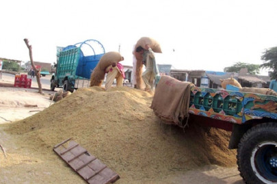 barter rice for energy with iran