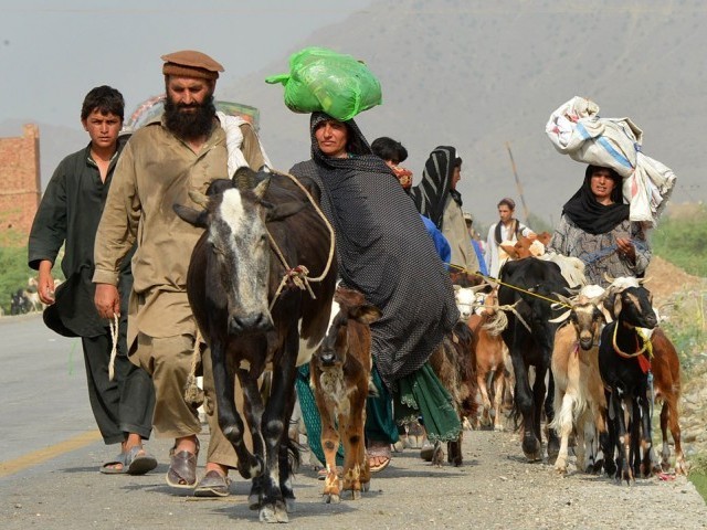 civilians fleeing from a military operation in north waziristan tribal agency arrive with their livestock in bannu district on june 20 2014 photo afp