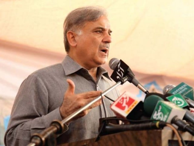punjab chief minister shahbaz sharif photo nefer sehgal punjab chief minister shahbaz sharif photo nefer sehgal