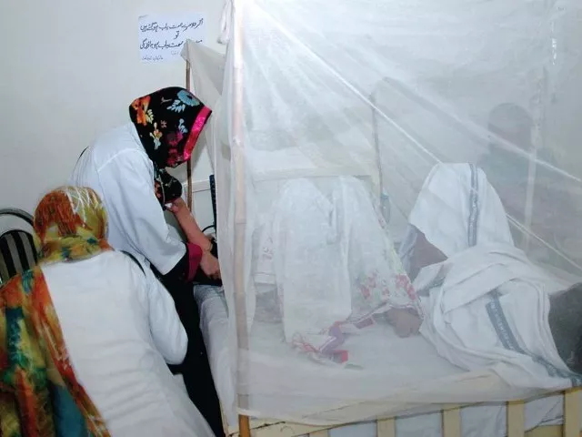 the dco directed the administrations of private hospitals and clinics to test every patient suffering from fever on priority basis photo express file the dco directed the administrations of private hospitals and clinics to test every patient suffering from fever on priority basis photo express file