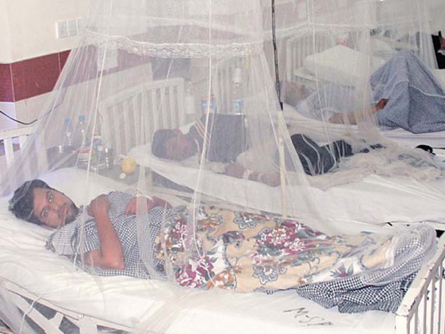 155 patients in karachi three in hyderabad three in lahore and one in ghotki had been diagnosed with dengue fever photo file
