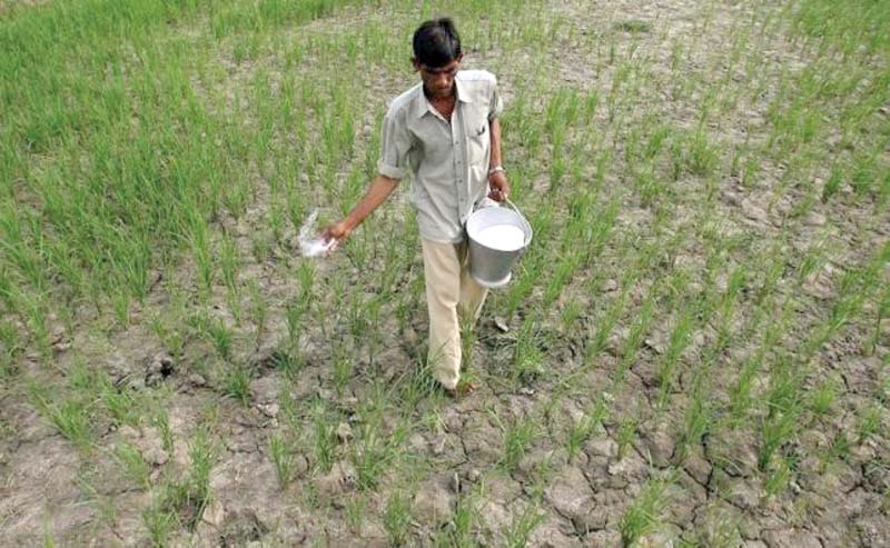 the major challenge for domestic fertiliser plants has been the scarcity of gas and liquefied natural gas is an option to satisfy fuel demand photo reuters