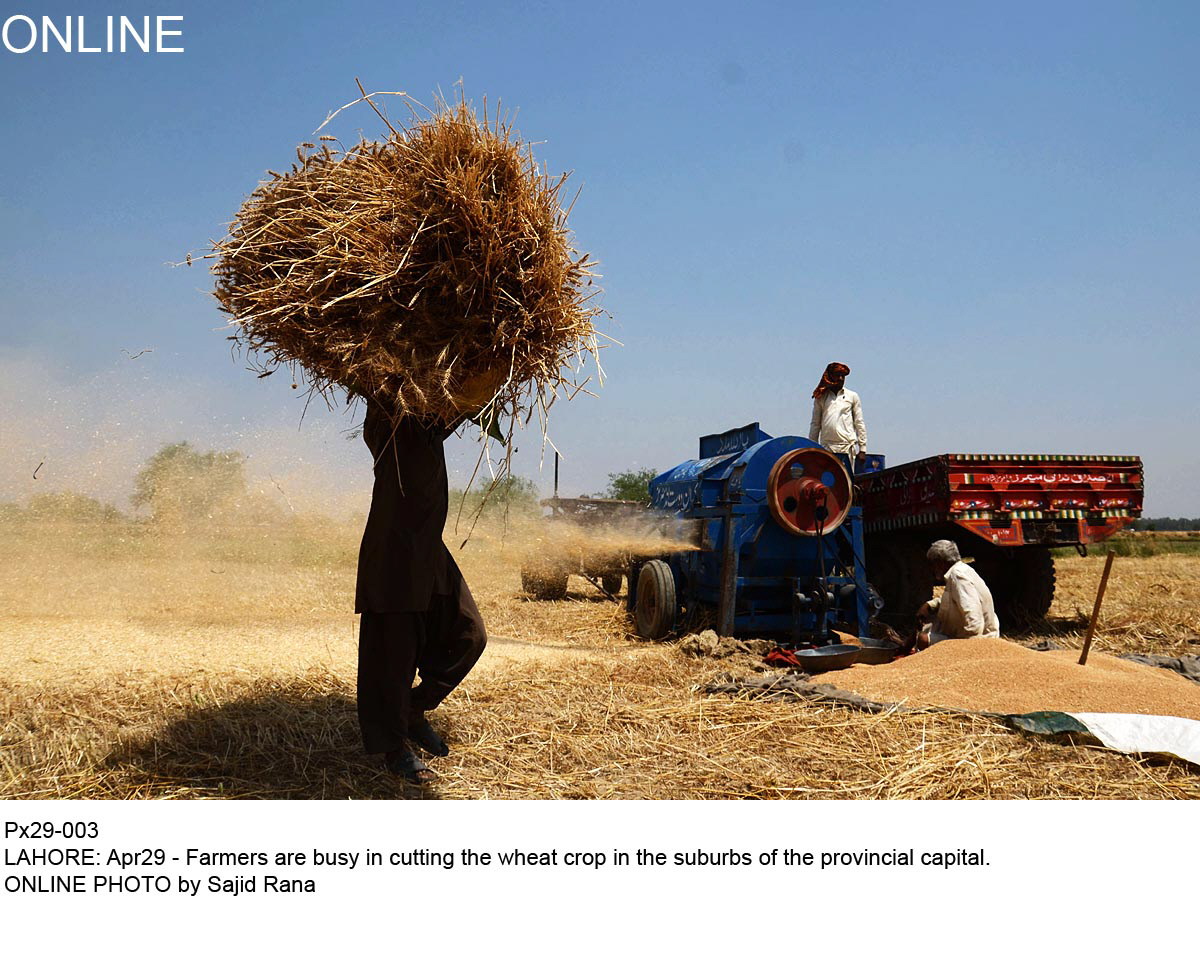 idle 5m tons is the quantity of wheat held in stocks of the punjab government compared to sindh government s 1 5 million tons photo online