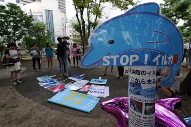 defenders of the hunt say it is a tradition and point out that the animals are not endangered photo afp defenders of the hunt say it is a tradition and point out that the animals are not endangered photo afp