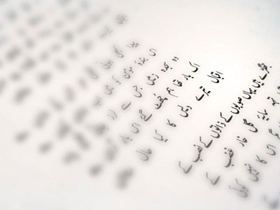 the language question the language question