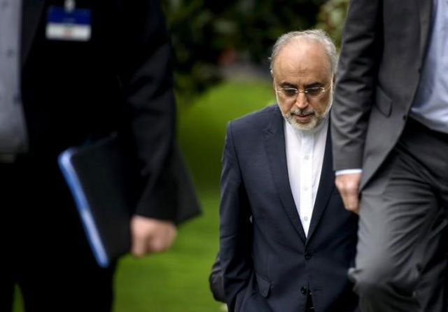 the head of the iranian atomic energy organization ali akbar salehi walks through a garden at the beau rivage palace hotel during an extended round of talks in lausanne april 2 2015 photo reuters