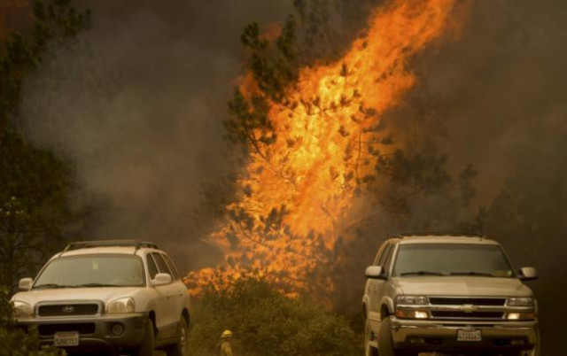 flames engulf a tree as the butte fire rages near san andreas photo reuters flames engulf a tree as the butte fire rages near san andreas photo reuters