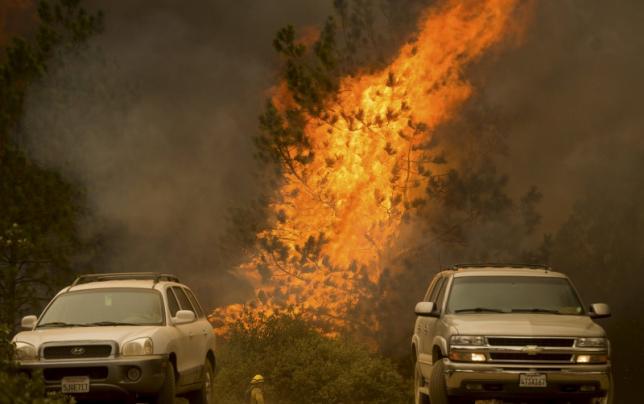 flames engulf a tree as the butte fire rages near san andreas photo reuters