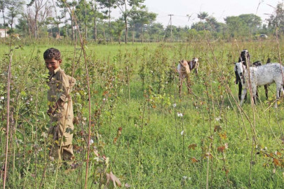 relief now has a different meaning for farmers relief now has a different meaning for farmers