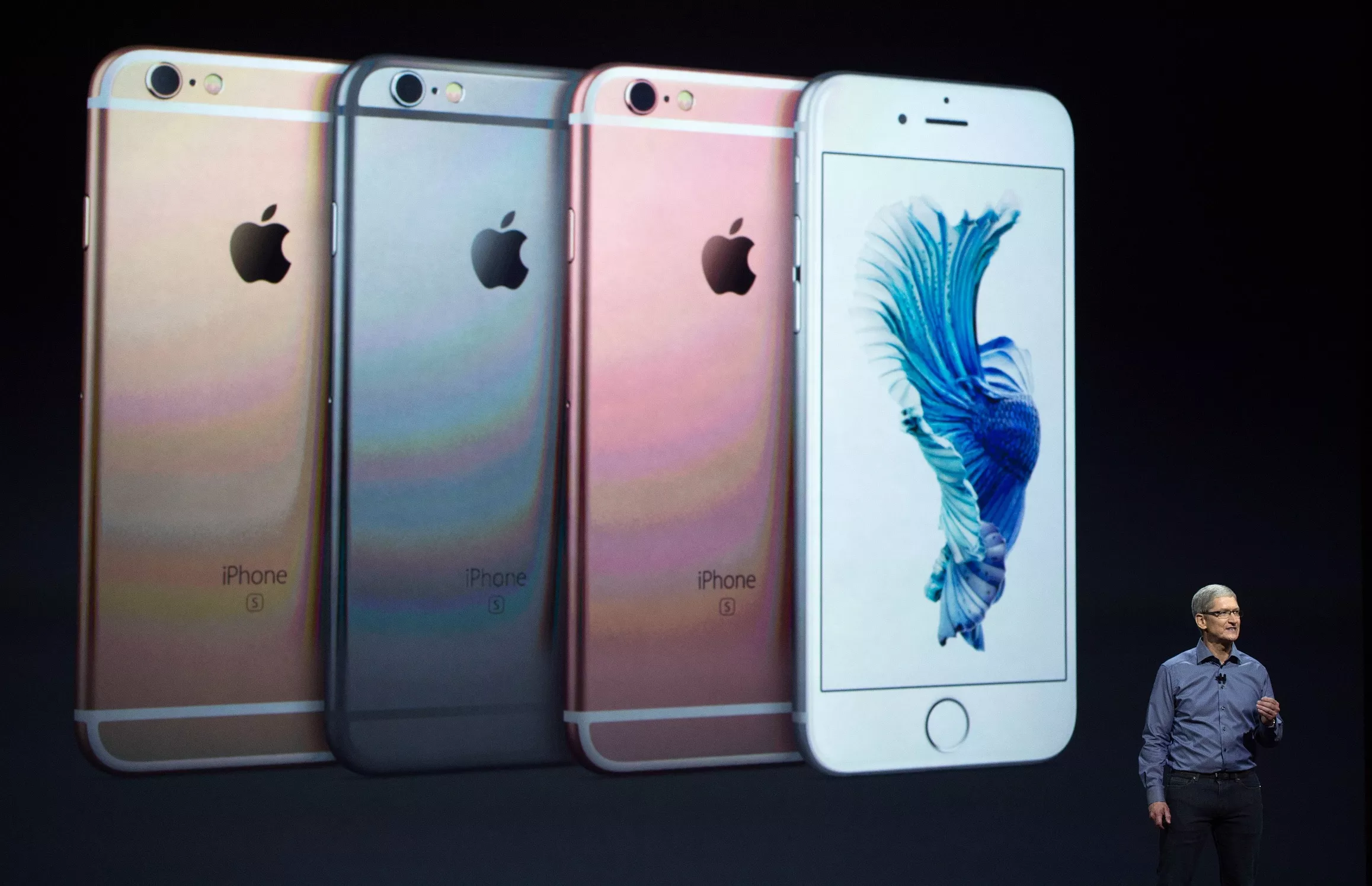 in this september 9 20115 file photo apple ceo tim cook introduces the iphone 6s during a media event in san francisco california photo afp in this september 9 20115 file photo apple ceo tim cook introduces the iphone 6s during a media event in san francisco california photo afp