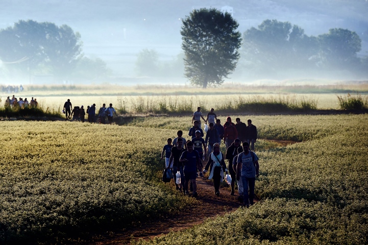 syrian refugees and migrants walk in a field to cross the border between greece and fyr of macedonia on august 29 2015 photo afp