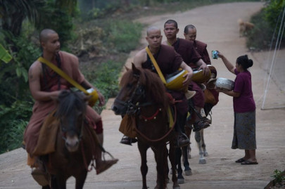 thai temple fights drug addiction with horses and boxing