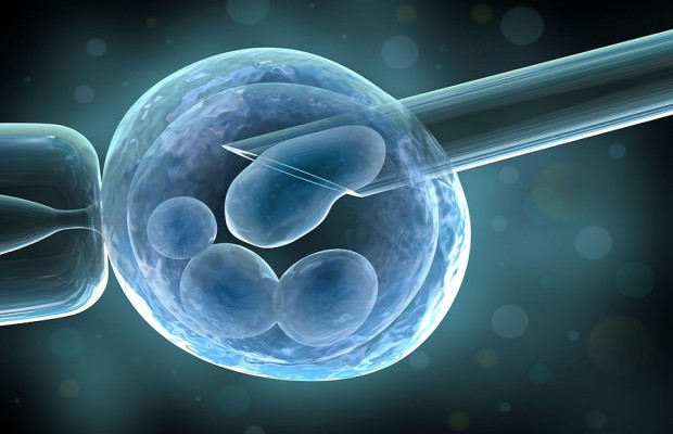 Scientists grow human-monkey embryos for the first time - Vimarsana News