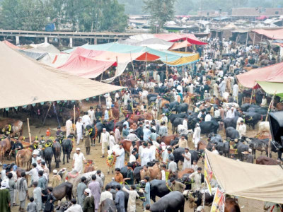 a stench ahead a stench ahead